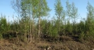 519 S Lazy Lake Drive Big Lake, AK 99652 - Image 9897097