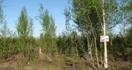 577 S Lazy Lake Drive Big Lake, AK 99652 - Image 9897098