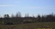 COUNTY ROAD 1711 Baileyton, AL 35019 - Image 9904699