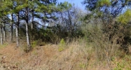 11 COUNTY ROAD 1592 Baileyton, AL 35019 - Image 9904697