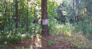 0 Wilderness Camp Road White, GA 30184 - Image 9950213