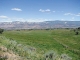 Tbd 58 Road Collbran, CO 81624 - Image 9965659