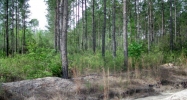 Lot 8 Groover Tract Ludowici, GA 31316 - Image 9973765