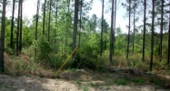 5 Acres Crossway Pines Ludowici, GA 31316 - Image 9973766