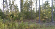 Lot 3 Crossway Pines Ludowici, GA 31316 - Image 9973767