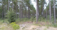 Lot 22 Groover Tract Ludowici, GA 31316 - Image 9973768