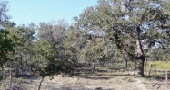 111 ACRES Wishing Star Ln Seguin, TX 78155 - Image 9995092