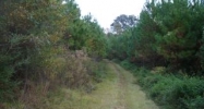 County Road 353 Elba, AL 36323 - Image 9999823