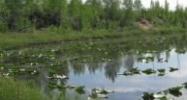 871 S Ashley Road Big Lake, AK 99652 - Image 10077721