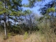 11 COUNTY ROAD 1592 Baileyton, AL 35019 - Image 10105143