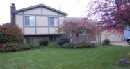 433  Manor Park Dr East China, MI 48054 - Image 10126112