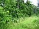 Hwy 125 Peel, AR 72668 - Image 10215224