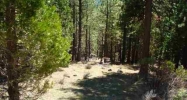 2440 Beaver Road Clio, CA 96106 - Image 10229235