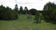 3371 Tonto Road Overgaard, AZ 85933 - Image 10262618