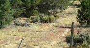 1401B County Rd 975 Arboles, CO 81121 - Image 10276549