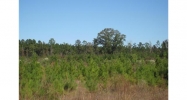 0 Potato Farm Rd Glenmora, LA 71433 - Image 10279632