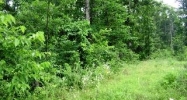 Hwy 125 Peel, AR 72668 - Image 10281384