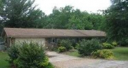 3250 Riverview Dr Norfork, AR 72658 - Image 10283874