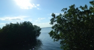 11 Coates Lane Summerland Key, FL 33042 - Image 10284609