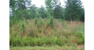 2 Heritage Creek Trail Ball Ground, GA 30107 - Image 10291541