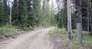 (tbd) USFS Road #490 Clark, CO 80428 - Image 10304370