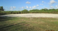 22681 Sw 258 St Homestead, FL 33031 - Image 10315545