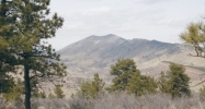 TBD Front Range Buffalo (Tract 7) Lyons, CO 80540 - Image 10317610