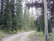 (tbd) USFS Road #490 Clark, CO 80428 - Image 10322303