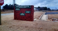 65 Golden South Place Dallas, GA 30157 - Image 10342956