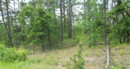 17 River Run Cove Bigelow, AR 72016 - Image 10345804