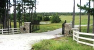 00 Hwy 62 East Viola, AR 72583 - Image 10353999