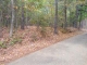 5 acres off Hwy 7 Louann, AR 71751 - Image 10408888