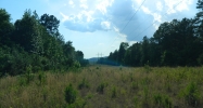 20 acres Off Hwy 164 Hagarville, AR 72839 - Image 10413785