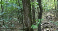 40 acres off Hwy 164 Hagarville, AR 72839 - Image 10413787