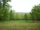 3575 CR 4160 Oark, AR 72852 - Image 10413985