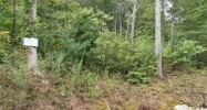 Lot 88 Bear Lake Reserve (Property Tuckasegee, NC 28783 - Image 10416706