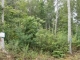 Lot 88 Bear Lake Reserve (Property Tuckasegee, NC 28783 - Image 10416874