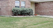 1038 Hampton Drive Forney, TX 75126 - Image 10427290