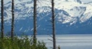 825 Sterling Highway Homer, AK 99603 - Image 10443442