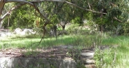 780 Toro Canyon Rd Carpinteria, CA 93013 - Image 10456278