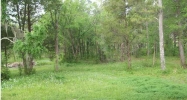 18546 Highway 31 Letohatchee, AL 36047 - Image 10481112