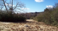 206 Hwy 64 Coal Hill, AR 72832 - Image 10520510