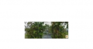 2231 N 57TH WY Hollywood, FL 33021 - Image 10553473