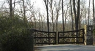 0 Woodland Bluff Lane Mineral Bluff, GA 30559 - Image 10562346