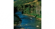 Tract 3, Reserve on East River Crested Butte, CO 81224 - Image 10563672