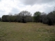 2007 EAGLE NEST ACRES DR Wallis, TX 77485 - Image 10564190