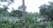 4 Horsepen Point Drive Tybee Island, GA 31328 - Image 10567670