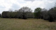 2007 EAGLE NEST ACRES DR Wallis, TX 77485 - Image 10571183