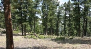 24143 Peak Drive Conifer, CO 80433 - Image 10572719