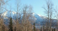 19237 Andreanof Drive Eagle River, AK 99577 - Image 10602165